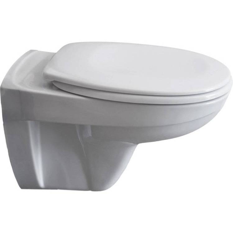 Унитаз подвесной Pestan Fluenta 40006460 Basic