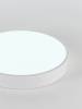 Потолочный светодиодный светильник Natali Kovaltseva Led Lamps 81111/5C фото 3