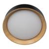 Потолочный светодиодный светильник Loft IT Coin 10202 Black фото 2