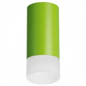 Потолочный светильник Lightstar Rullo R43431