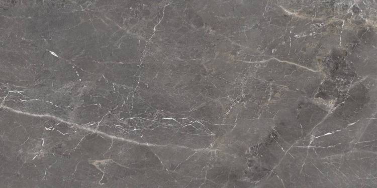 Керамогранит Ocean Ceramic 60x120 Tulip Grey Glossy 60x120