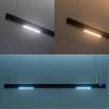 Подвесной светодиодный светильник Arte Lamp Lao A2189SP-1BK фото 2