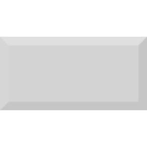 Керамическая плитка Absolut Keramika Monocolor Gris Biselado Brillo 10x20