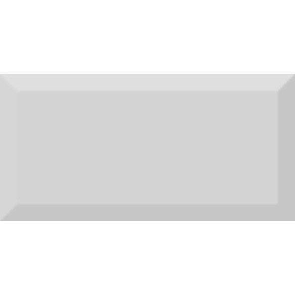 Керамическая плитка Absolut Keramika Monocolor Gris Biselado Brillo 10x20