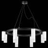 Подвесная люстра Lightstar Rullo LR0188643641 фото 3