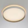 Потолочный светодиодный светильник Citilux Etalon CL750320R фото 3