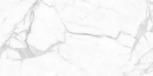 Керамогранит Staro Palacio Proven Polished 60x120