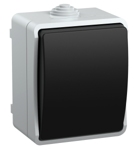 Выключатель 1-клавишный проходной IEK Fors EVS10-K03-10-54-DC серый