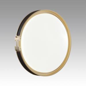 Настенно-потолочный светильник Sonex Color 7667/DL