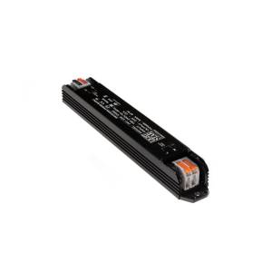 Блок питания Lightstar 424062