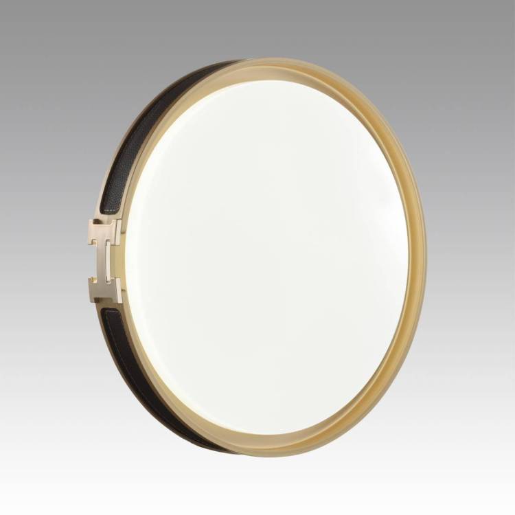 Настенно-потолочный светильник Sonex Color 7667/DL