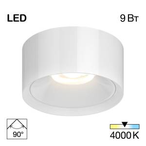 Накладной светильник Citilux Ровер CL743090N