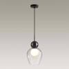 Подвесной светильник Odeon Light Capra 4997/1 фото 2