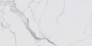 Керамогранит Rex Ceramiche I Classici Di Rex Magnum Statuario Glossy Полированный 60x120