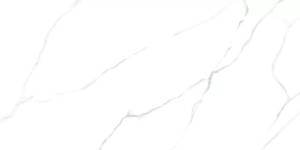 Керамогранит LCM Atlantic Marble 60120AMR00P 60x120