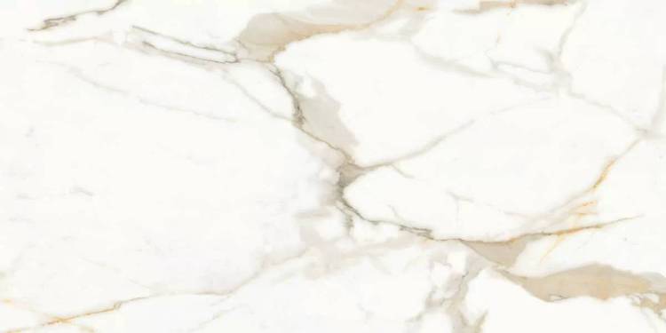 Керамогранит Ceradim Calacatta Superior Белый Матовый 60x120