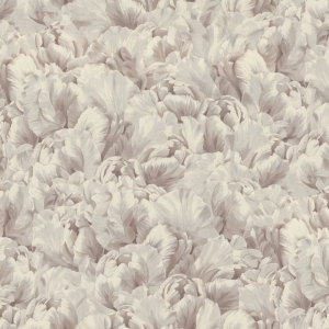 Обои Monte Solaro Triumphator 9249-01