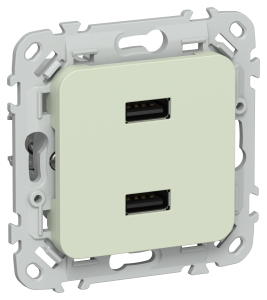 Розетка USB type A+A IEK Flite FI-U21-D31-K92 панг