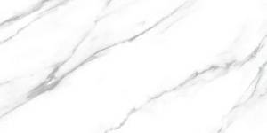 Керамогранит Fanal Carrara Dec B 60x120