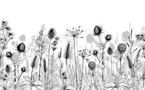 3D Фотообои Artegrafico «Цветочная зарисовка» GR-003 канвас