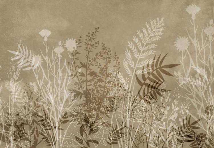 3D Фотообои Artegrafico «Светлая композиция из полевых трав» HRB-039 акварель