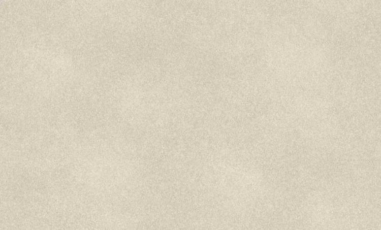 Обои Rasch Wall Textures Xl III 973013