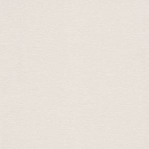 Обои Rasch Natural Colors 448641