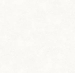 Обои Victoria Stenova Da Vinci 286752