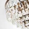 Подвесная люстра Modelux ML.844.9 GD фото 3