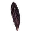 Статуэтка Tetchair Secret De Maison Leaf3 (mod. 9761) 20263 платина фото 4