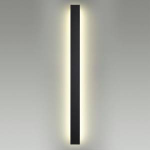 Уличный настенный светодиодный светильник Odeon Light Fibi 4379/29WL