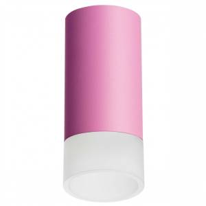 Потолочный светильник Lightstar Rullo R43231