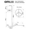Торшер Citilux Тевин CL806031 фото 8