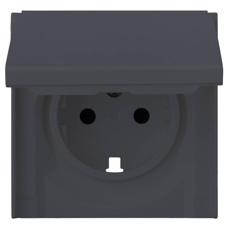 Лицевая панель для розетки 2к+з с крышкой Rikett 35634 BT базальт