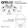 Люстра поворотная Citilux Tika CL133170 фото 12
