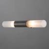 Подсветка для зеркал Arte Lamp A2470AP-2SS фото 3