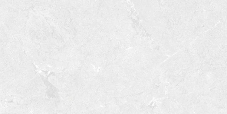 Керамогранит Pamesa Constanza 017.250.0108.15089 White MT Rect 60x120