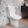 Унитаз-компакт Damixa Skyline DX35C8600SC безободковый, с микролифтом фото 4