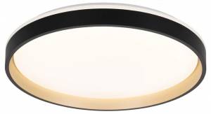 Накладной светильник Citilux Enzo CL753511G