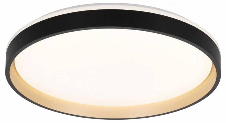 Накладной светильник Citilux Enzo CL753511G