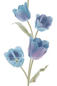 Панно Keros Ceramica Varna Tulips Frios 50x75
