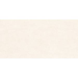 Керамогранит Alma Ceramica Berlin GFU60120BLN04R 60x120 (распродажа)