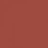 Керамогранит Nanda Tiles Kompas Rosset Red 20х20