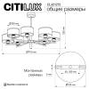 Люстра Citilux Alton CL421272 фото 9