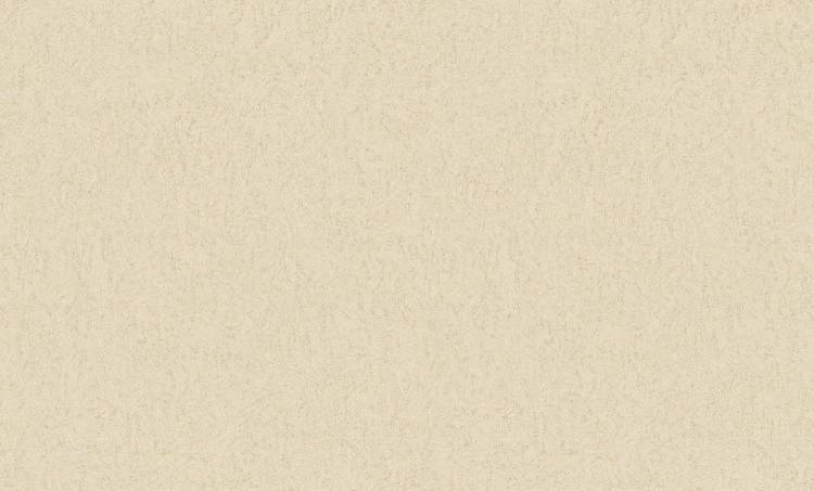 Обои флизелиновые Bruno Zoff Silver 60118-3