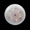 Потолочный светильник Lightstar Zucche 820860 фото 4