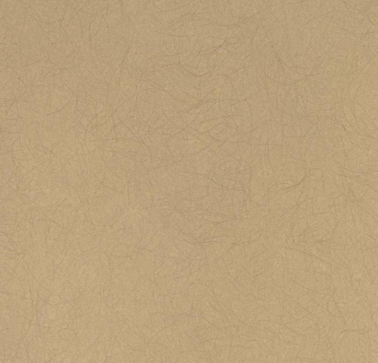 Обои флизелиновые Bernardo Bartalucci Legend 5068-34