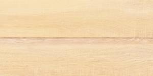 Керамическая плитка AltaCera Briole WT9BRE11 Wood 24.9x50