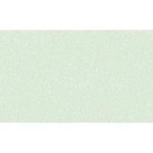 Обои Erismann Botanika 60684-04