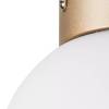 Настенно-потолочный светильник Lightstar Globo 812013 фото 3